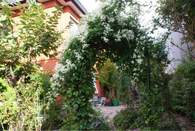 f0170524_11244699.jpg
