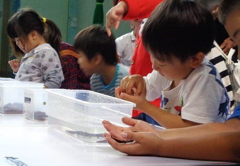 f0177529_21564466.jpg