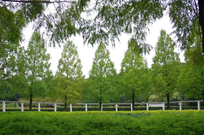 f0338831_21451834.jpg