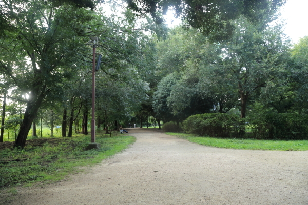 f0229832_09133644.jpg
