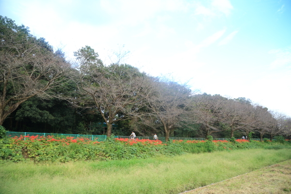 f0229832_09140611.jpg
