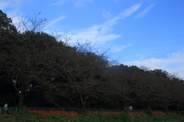 f0229832_09141463.jpg