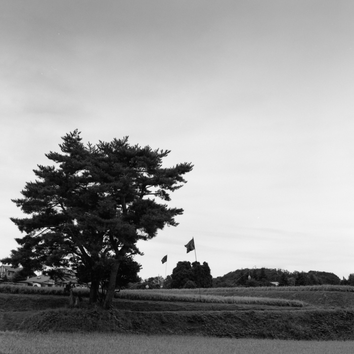 黒旗に守られた水田 Film Gasoline