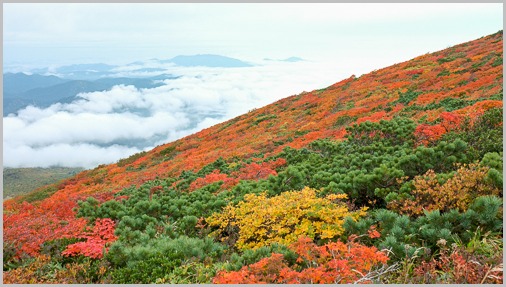晴耕雨読 栗駒山_c0176838_1140162.jpg