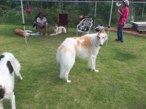 b0369239_15074907.jpeg