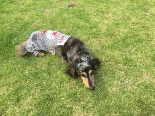 b0369239_15100881.jpeg