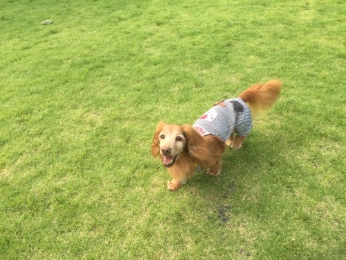 b0369239_15103004.jpeg