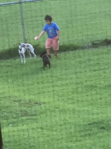 b0369239_15112860.jpeg