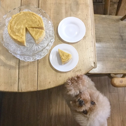 e0325043_07271081.jpeg