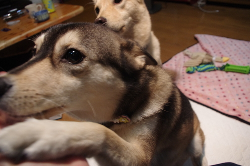 c0266644_06199.jpg