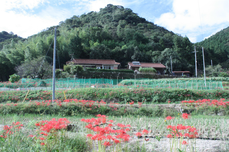 日本のふるさと風景 みーっけた 山口市仁保の秋 Butako西の都に住む In山口