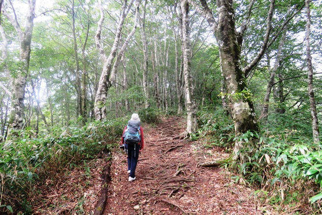毛無山_b0227552_19055326.jpg