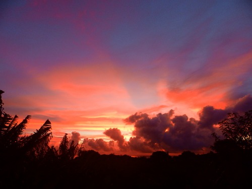 b0160957_12852100.jpg