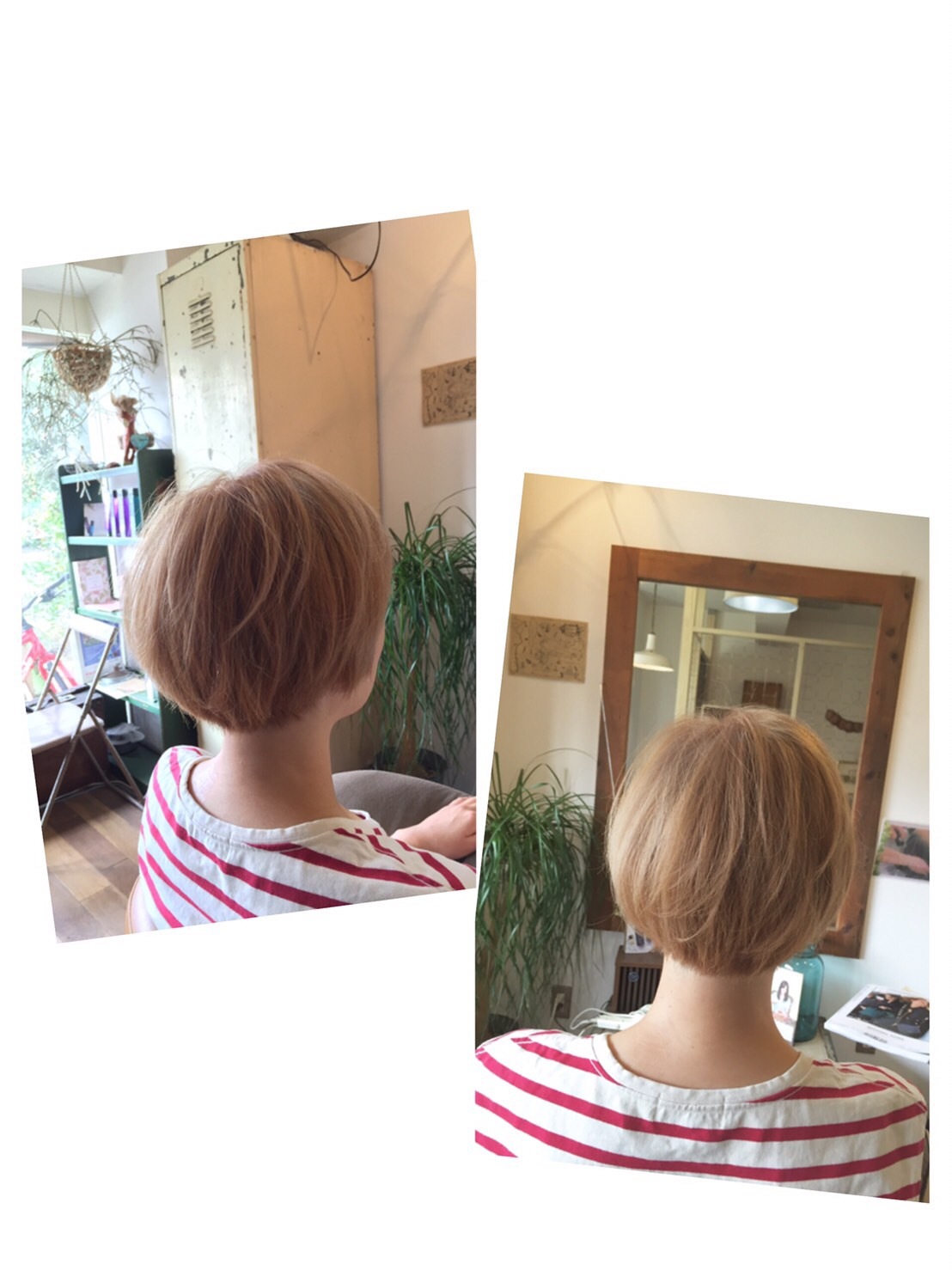 10月のお休み_a0174660_15284112.jpeg