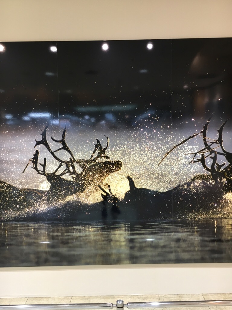 星野道夫 の旅 特別展_f0363168_22500221.jpeg