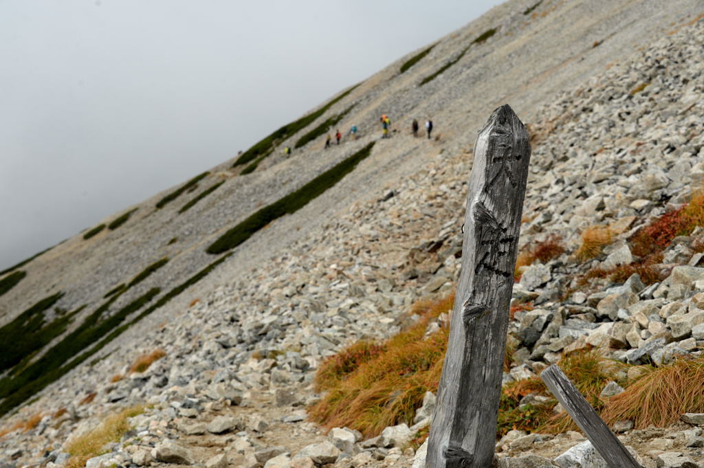 f0323171_11494408.jpg
