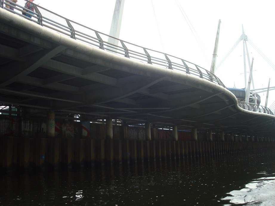 a0123372_4192525.jpg