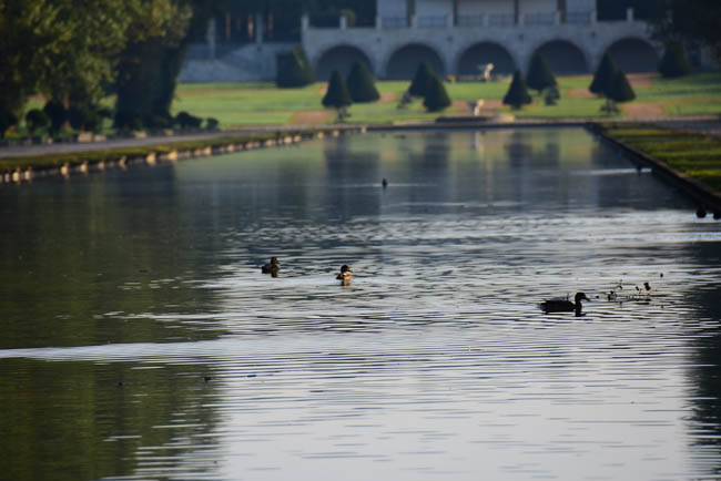 　　　【　朝の散歩　前田森林公園　2　】_c0094572_1485935.jpg