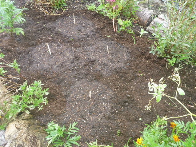 c0096287_11532498.jpg