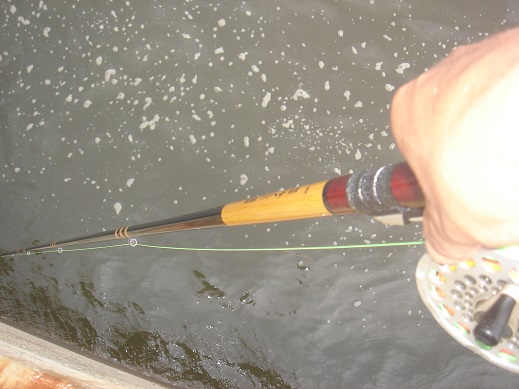 e0147297_1730209.jpg