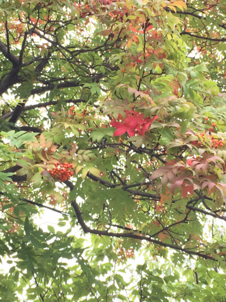 c0144703_20062683.jpg