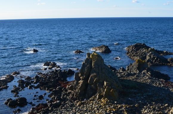 c0336907_18343138.jpg
