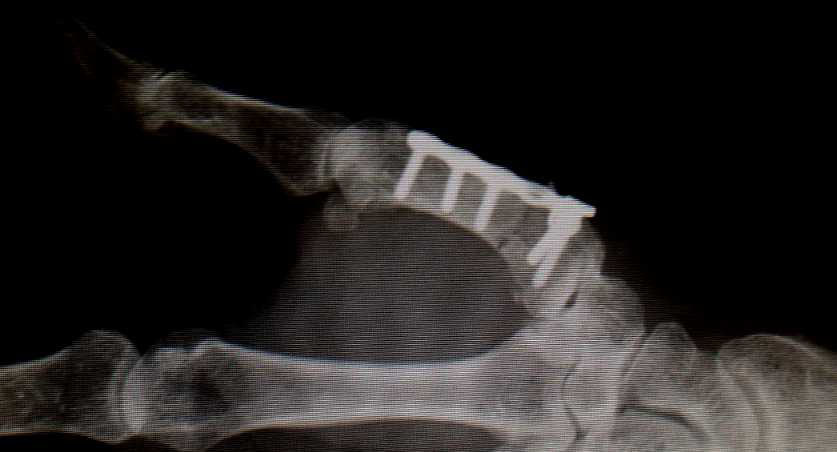 e0003910_1746478.jpg