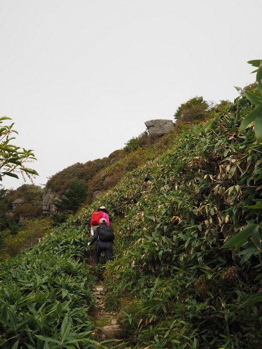 東黒森山－瓶ヶ森－自念子ノ頭登山　その１（東黒森山）_c0116915_0324091.jpg