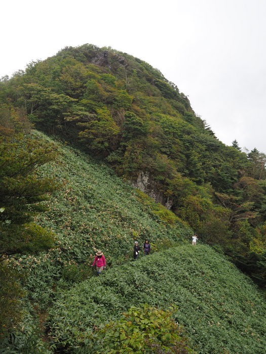 東黒森山－瓶ヶ森－自念子ノ頭登山　その１（東黒森山）_c0116915_042581.jpg