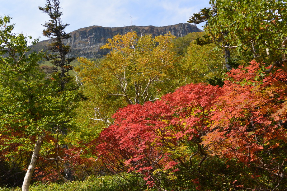 2016年9月 『赤に染まる大雪山』 September 2016 \"Red Mountains\"_c0219616_18201574.jpg