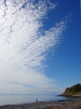 c0204725_23165116.jpg