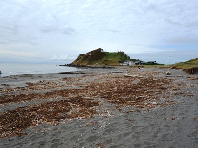 c0204725_23171967.jpg