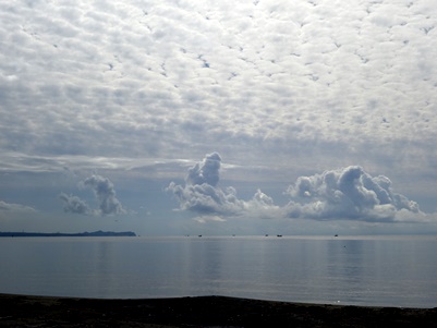 c0204725_2324123.jpg