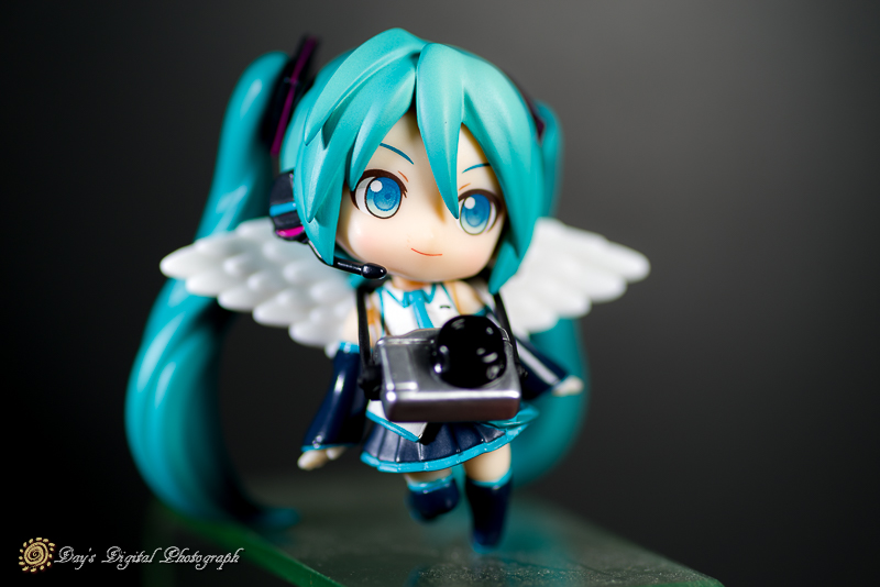 ねんどろいどぷち 初音ミク りにゅーある_a0200830_20301718.jpg