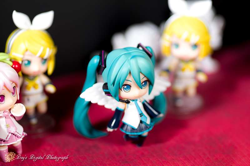 ねんどろいどぷち 初音ミク りにゅーある_a0200830_20361185.jpg