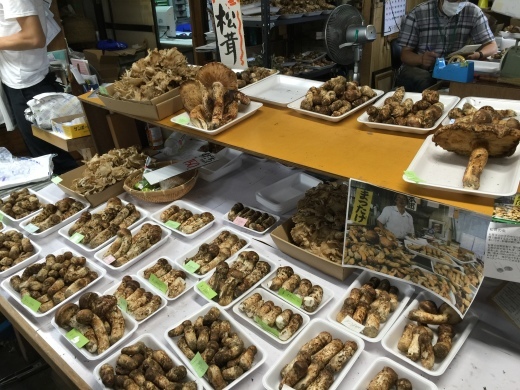 ドライブエクスペリエの真価_f0076731_15053116.jpeg