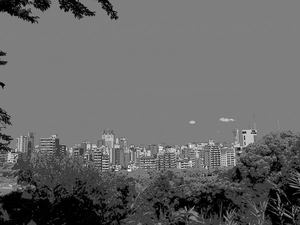 b0190540_15335392.jpg