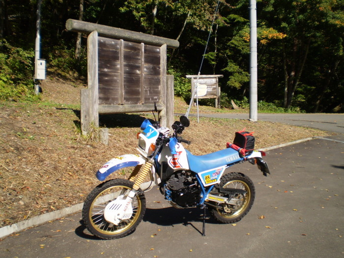f0363741_15235487.jpg