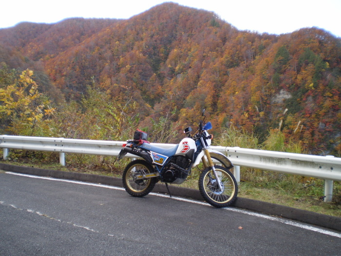 f0363741_15261647.jpg