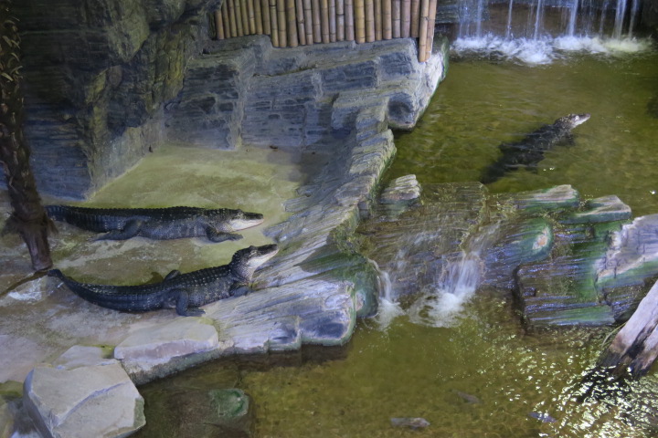 e0300042_17552267.jpg