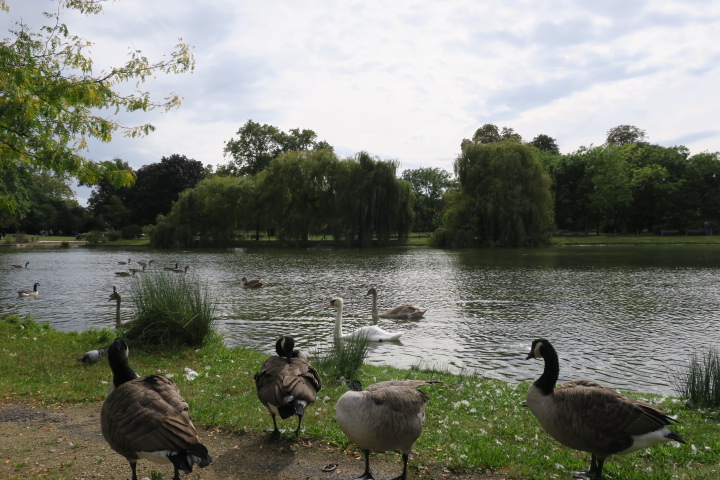 ヴァンセンヌの森　Bois de Vincennes_e0300042_17581325.jpg