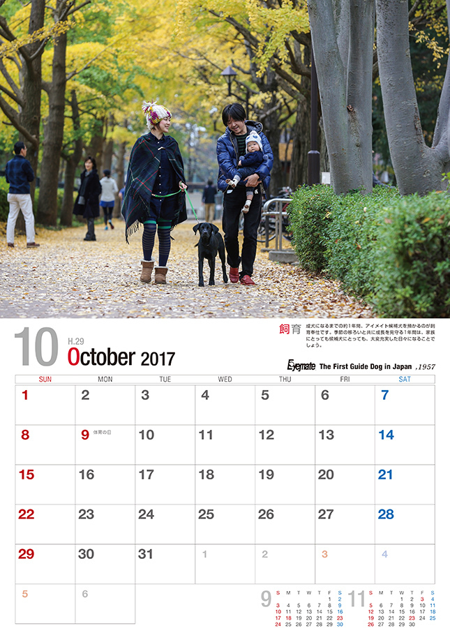 2017 アイメイト60周年 アイメイトサポートカレンダー 販売開始_d0323943_21275374.jpg