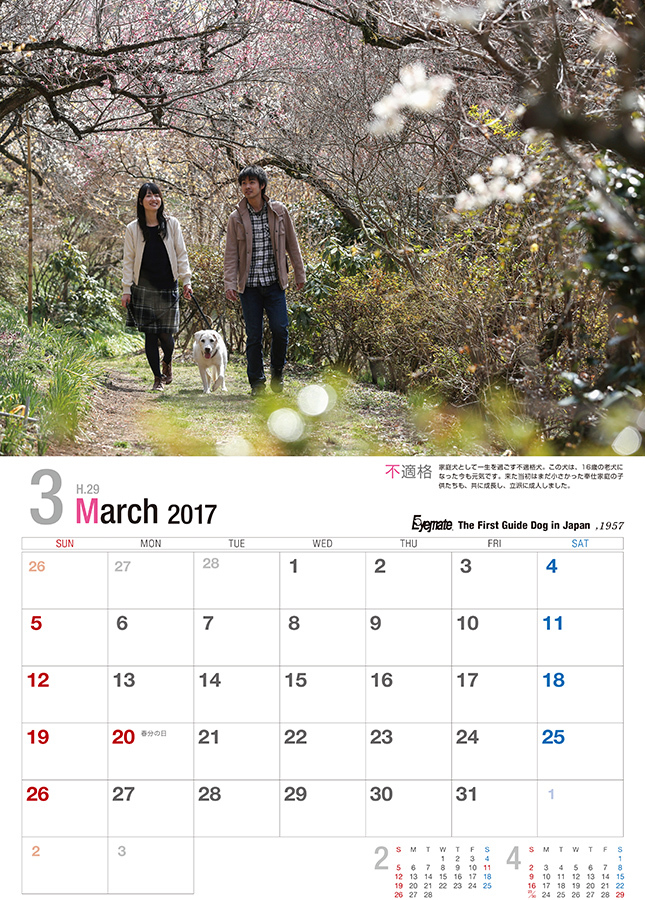 2017 アイメイト60周年 アイメイトサポートカレンダー 販売開始_d0323943_22365493.jpg