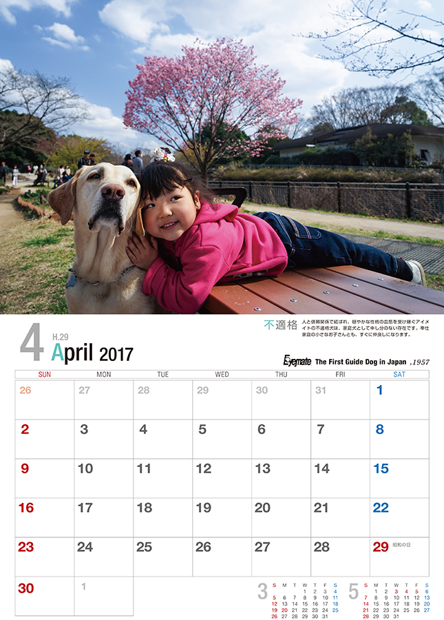 2017 アイメイト60周年 アイメイトサポートカレンダー 販売開始_d0323943_22474996.jpg