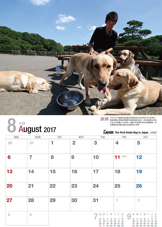 2017 アイメイト60周年 アイメイトサポートカレンダー 販売開始_d0323943_23401135.jpg