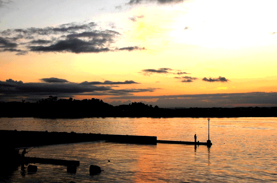 c0093046_8314758.gif