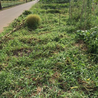 c0347850_12373601.png