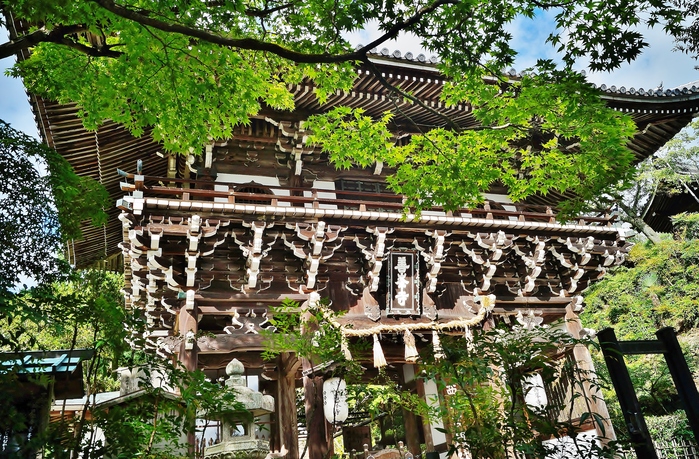 善峯寺の秋明菊_b0063958_2249994.jpg