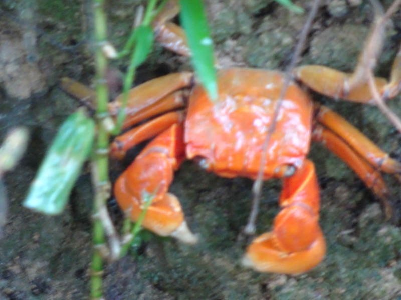 c0108460_16171593.jpg