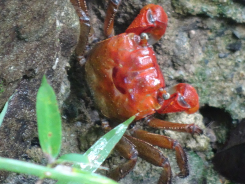 c0108460_16171716.jpg